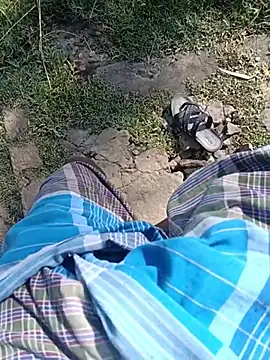 dolphiinn webcam