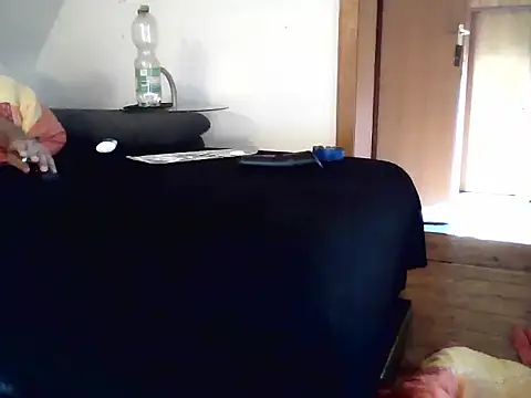 Cambitchboy webcam