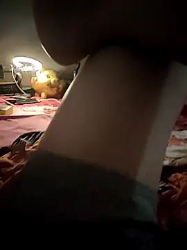 -Tara-a webcam