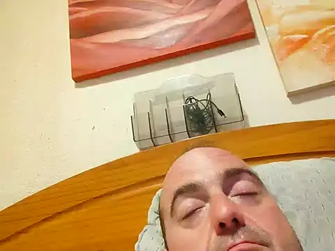 Pollagorda_34877 webcam