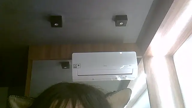 SkinnyKitten webcam