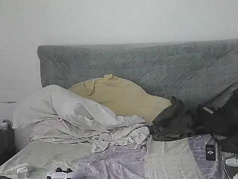 IronSideBear webcam