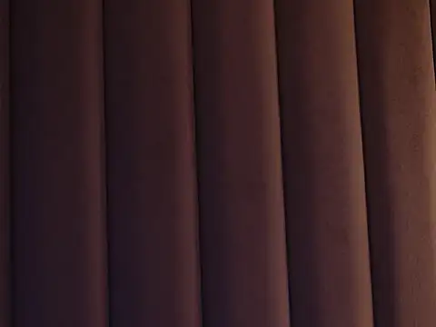 MissMeFoxy webcam