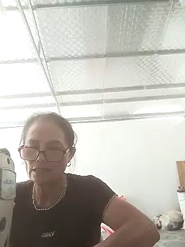 Vieekee webcam