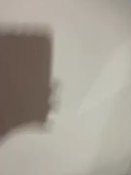 MILLIONDOLLARPUSSY95