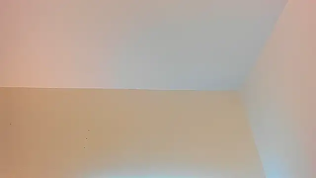 stanandrose_ webcam