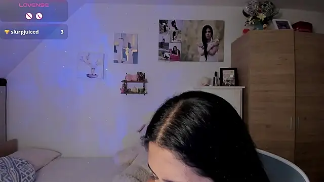 Veronikolsen- webcam