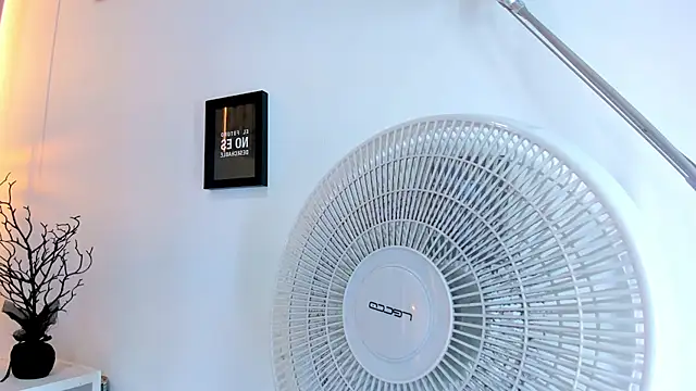 Pit_Ross webcam