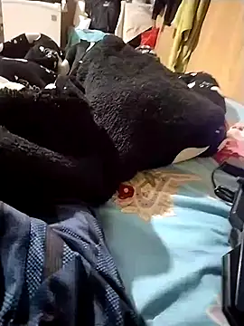 EMERKITHO_20_R webcam