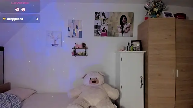 Veronikolsen- webcam