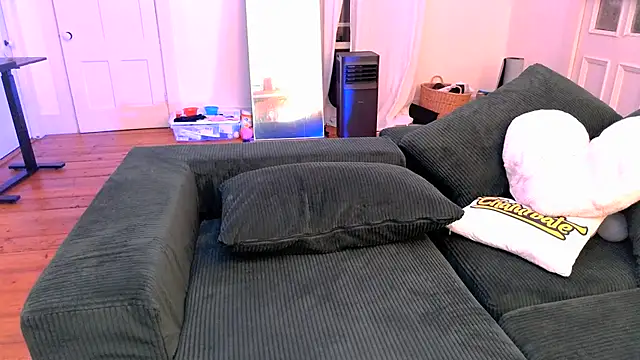 switchykitty webcam