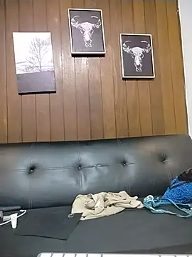 Aurora_ath webcam