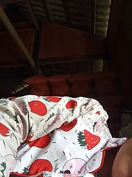 Heli_pusy webcam