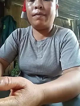 Ip34 webcam