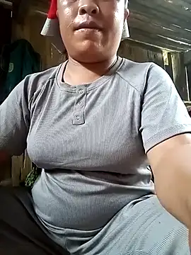 Ip34 webcam