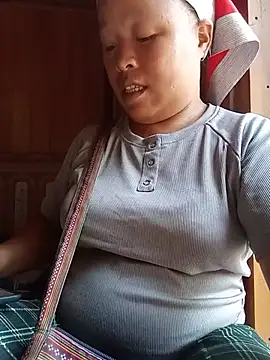 Ip34 webcam