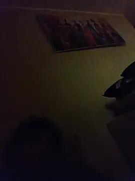 BlackSnakesk webcam