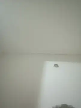 Flacocalenton20cm webcam