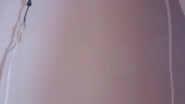 Ixchel66 webcam