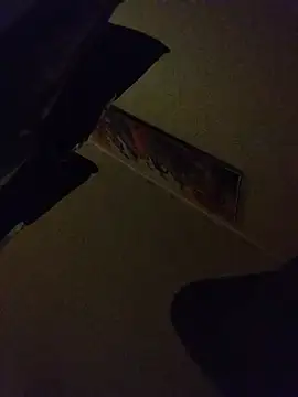 BlackSnakesk webcam