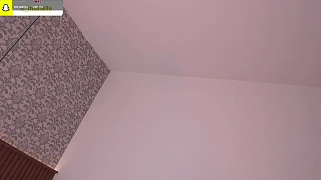 _mishelle webcam