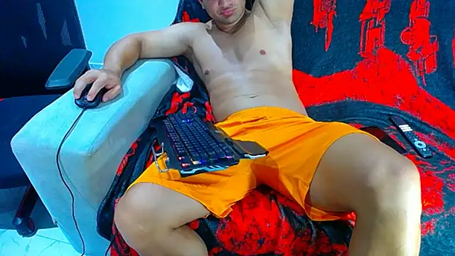 hugo_19cm webcam