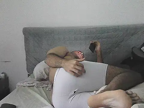IronSideBear webcam