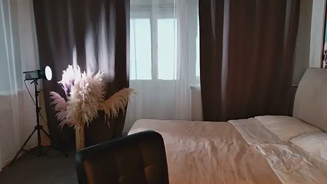 kindfocus webcam