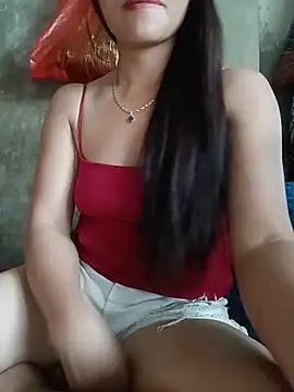 Havana- webcam