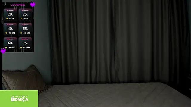 Vanaldienn webcam