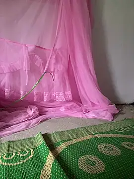 Milky-milk webcam