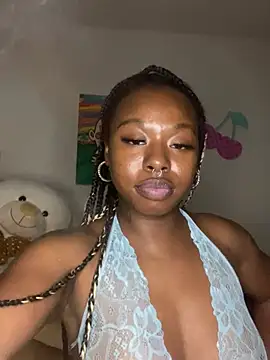 TinyBlazian901 webcam