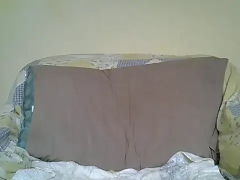 Delicious-D webcam