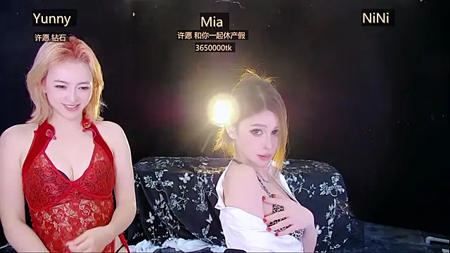 MiNi-U webcam