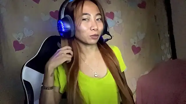 PiaSwida webcam