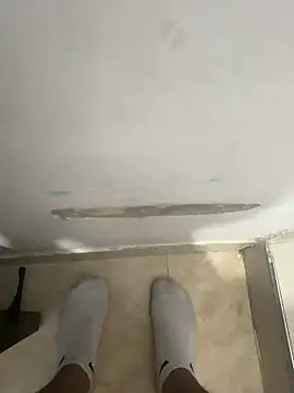 LiveDensity webcam