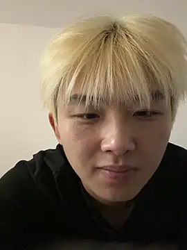 Cnmp6666 webcam