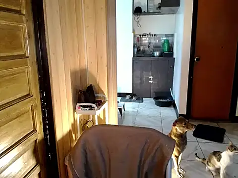 jakoloten webcam