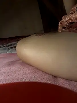 -Tara-a webcam