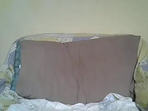 Delicious-D webcam