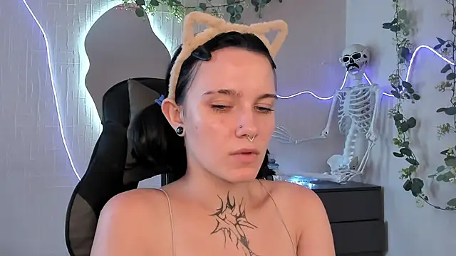 Elastikisss webcam