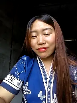 he-se-kin webcam