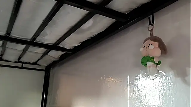 HaMeschino webcam