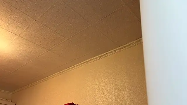 LivianDivorce webcam