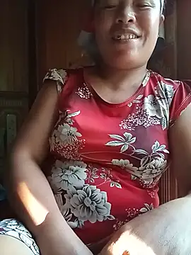 Ip34 webcam