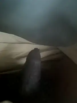 malluflash webcam