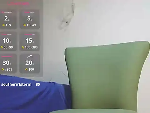 Keiviid webcam