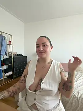 Les12coupsdeminuit webcam