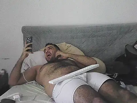 IronSideBear webcam