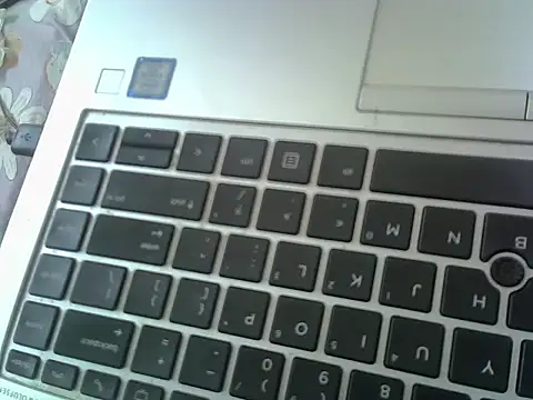Ivynoir101 webcam